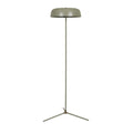 Easton Canopy Floor Lamp Elm