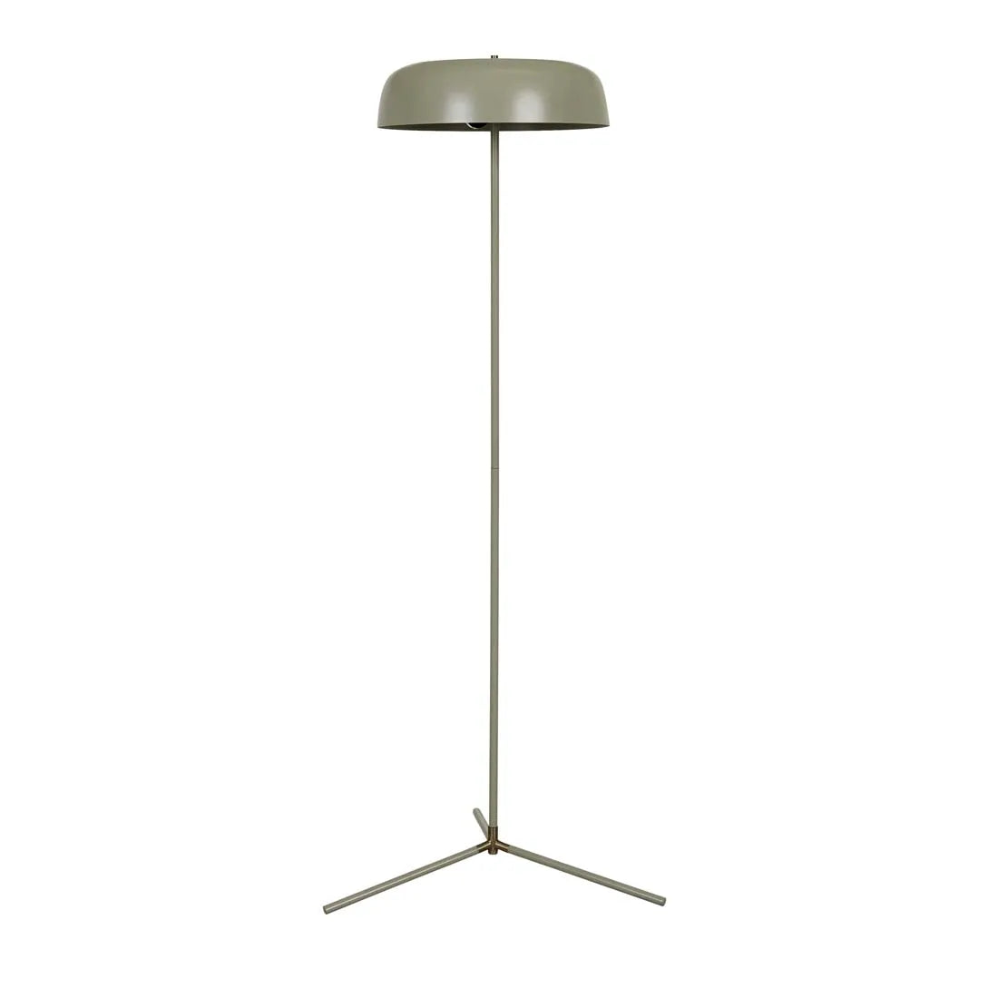 Easton Canopy Floor Lamp Elm