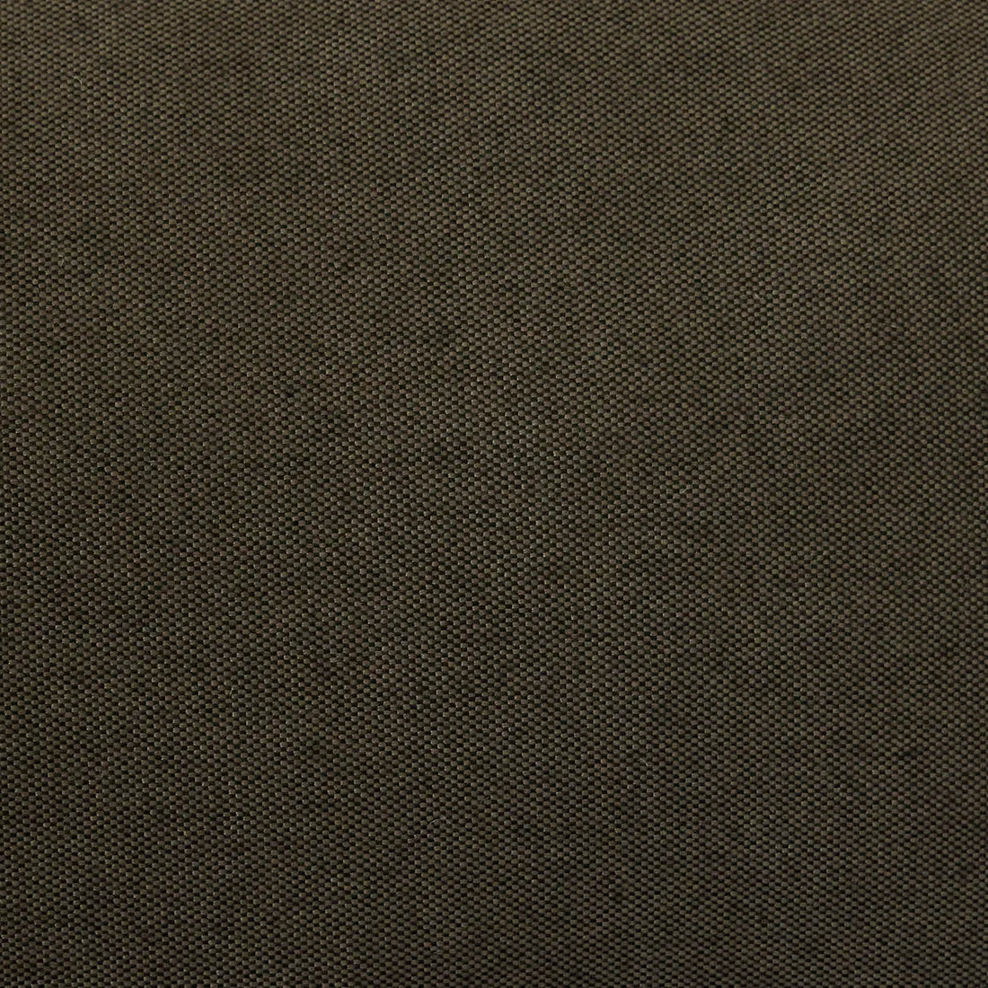 Mauritius Upholstery Chair Moss/Espresso