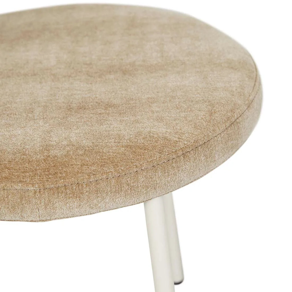 Laylah Loop Dining Chair Dijon