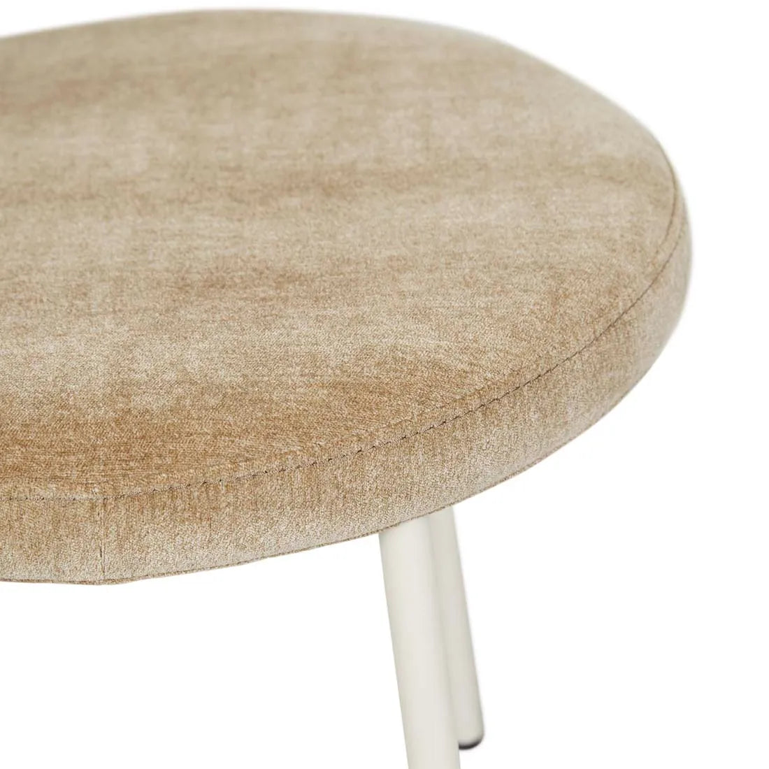 Laylah Loop Dining Chair Dijon