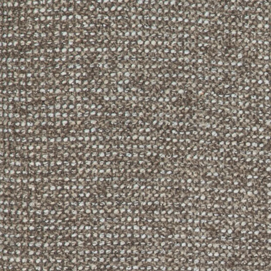 Colson Swivel Dining Chair Dawn Tweed