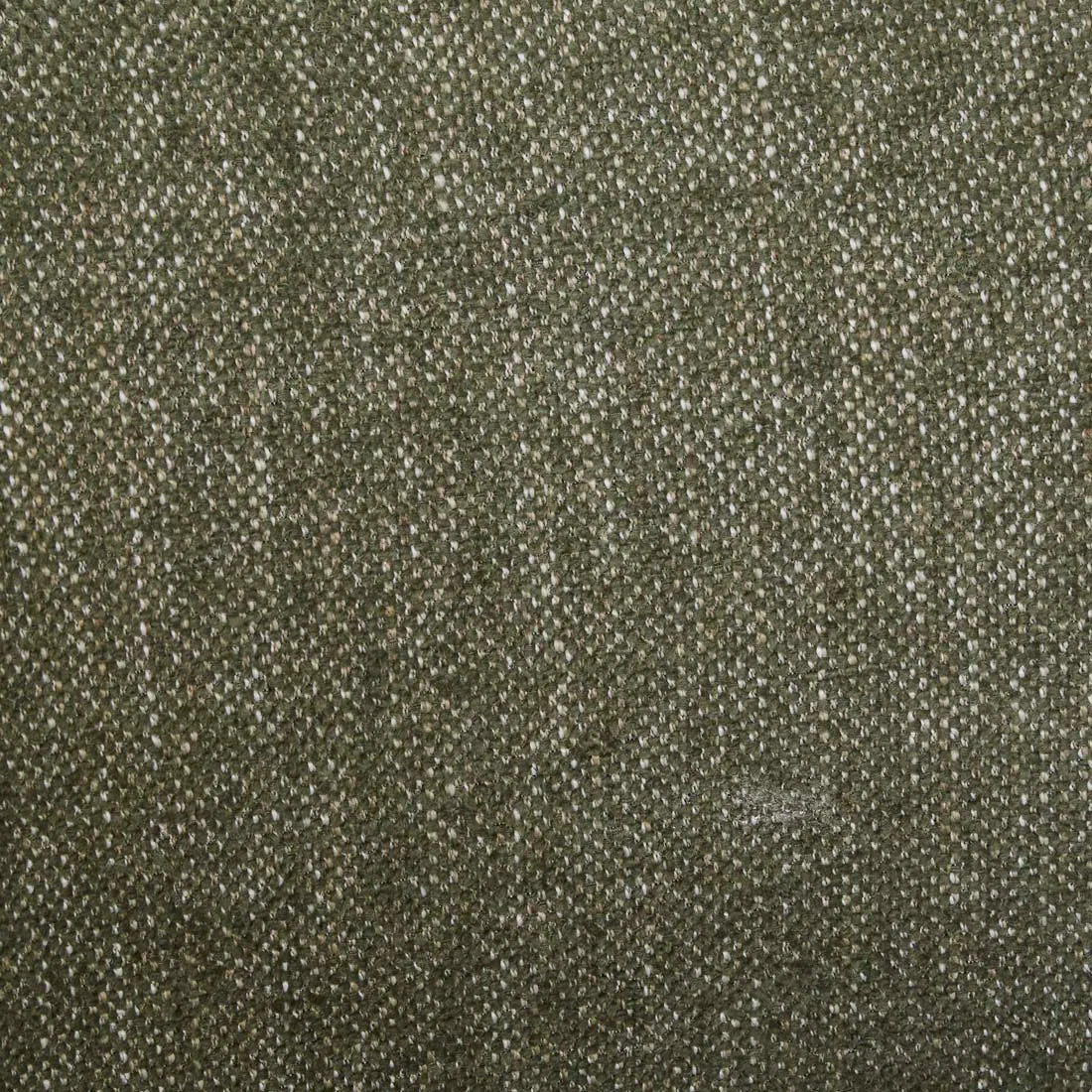 Cami Dining Armchair Lichen