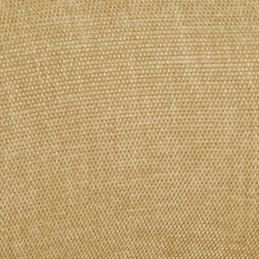 Piccolo Cantilever Dining Chair Honey