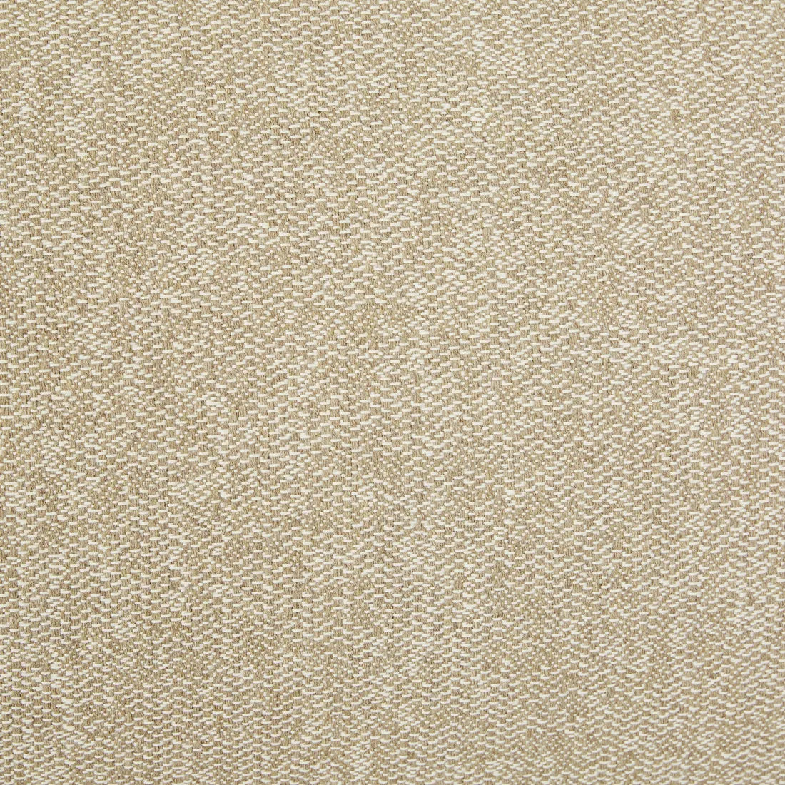 Cohen Sofa Shell