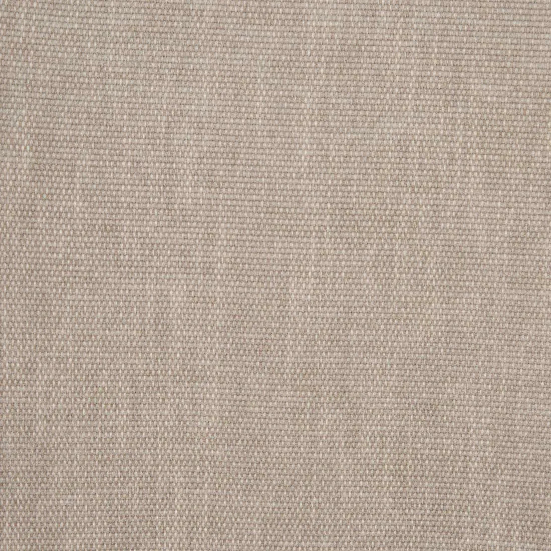 Sophia Dining Chair Copeland Birch