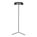 Easton Canopy Floor Lamp Black